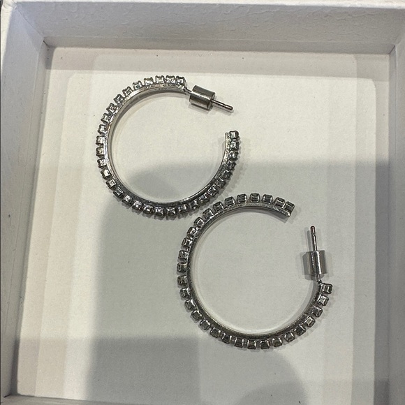AREA Silver Hoop Earrings - Picture 3 of 7